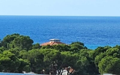 Wohnung mit Meerblick in Arenal/Palma Beach, Mallorca